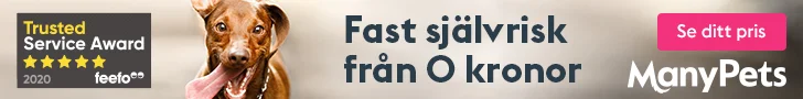 Recension av ManyPets hundförsäkring